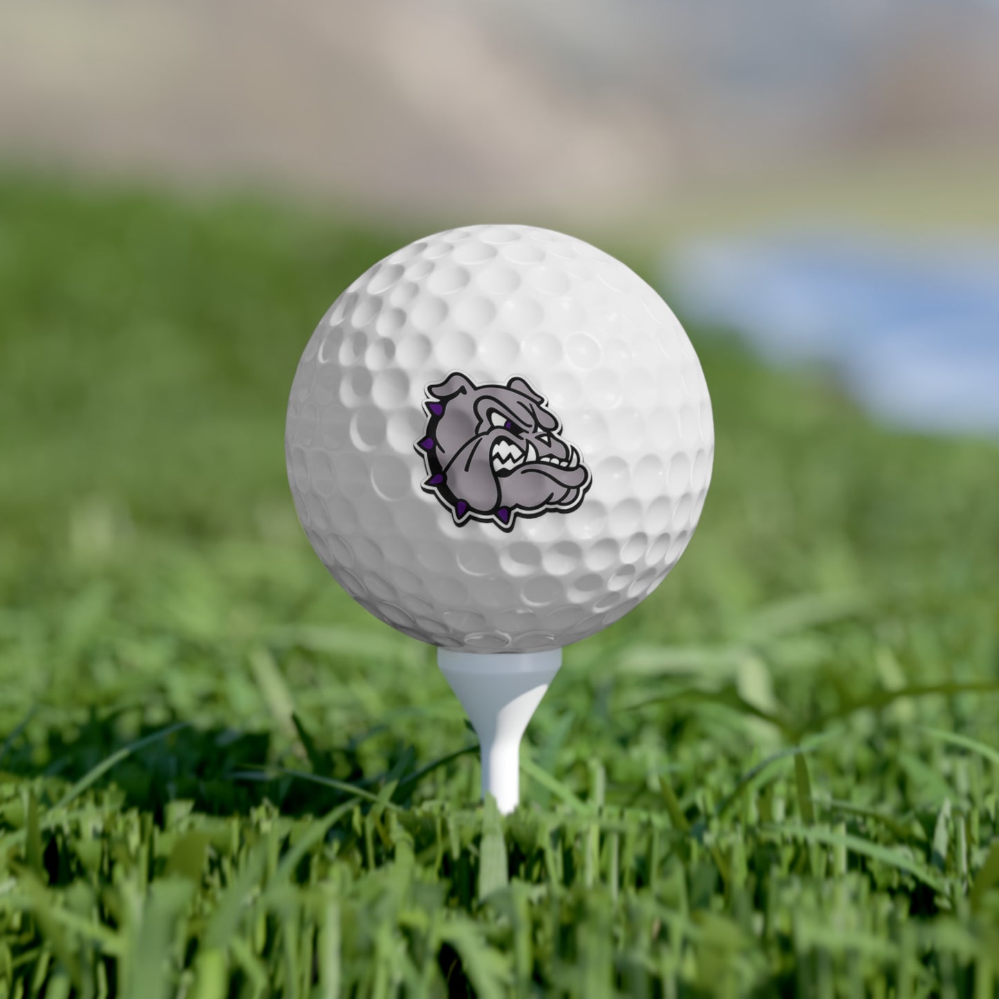 Fayetteville Bulldogs Golf Balls 6pk